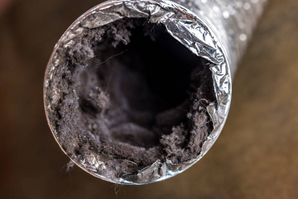 Best Ductwork Cleaning Services  in Dennison, OH