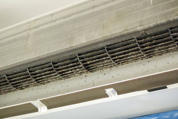 Best Affordable Duct Cleaning Services  in Dennison, OH